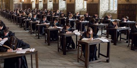 harry potter newt exam.